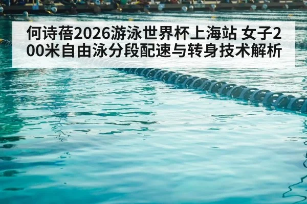 competitive swimming pool lanes
